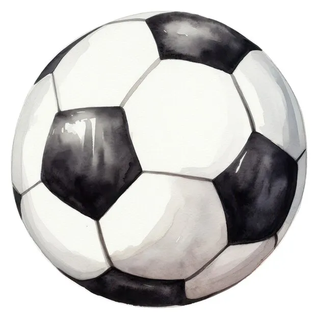 熊猫体育app-应用预览