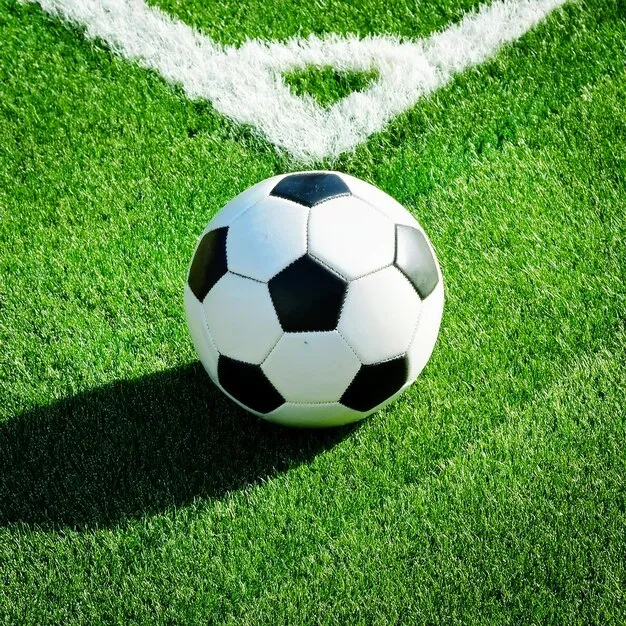 熊猫体育app 下载引导